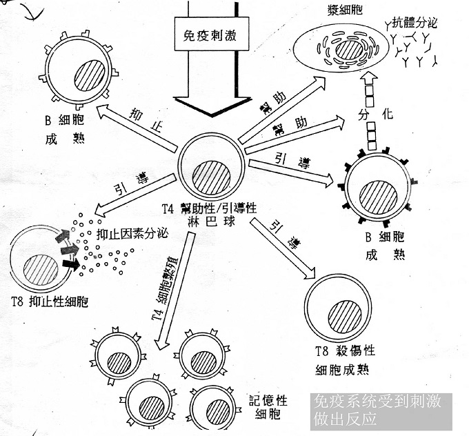 海信電視刷機刷不進去