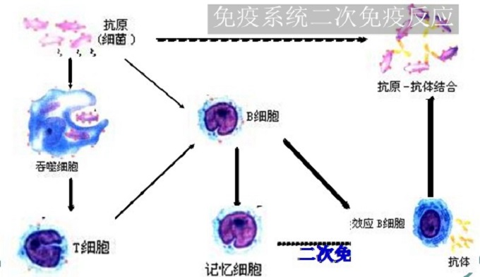 美的電磁爐LC